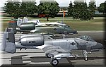 a10-4.jpg