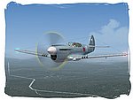 IRIS P-40 Warhawk_02.jpg