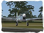 IRIS P-40 Warhawk_03.jpg
