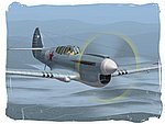 IRIS P-40 Warhawk_04.jpg